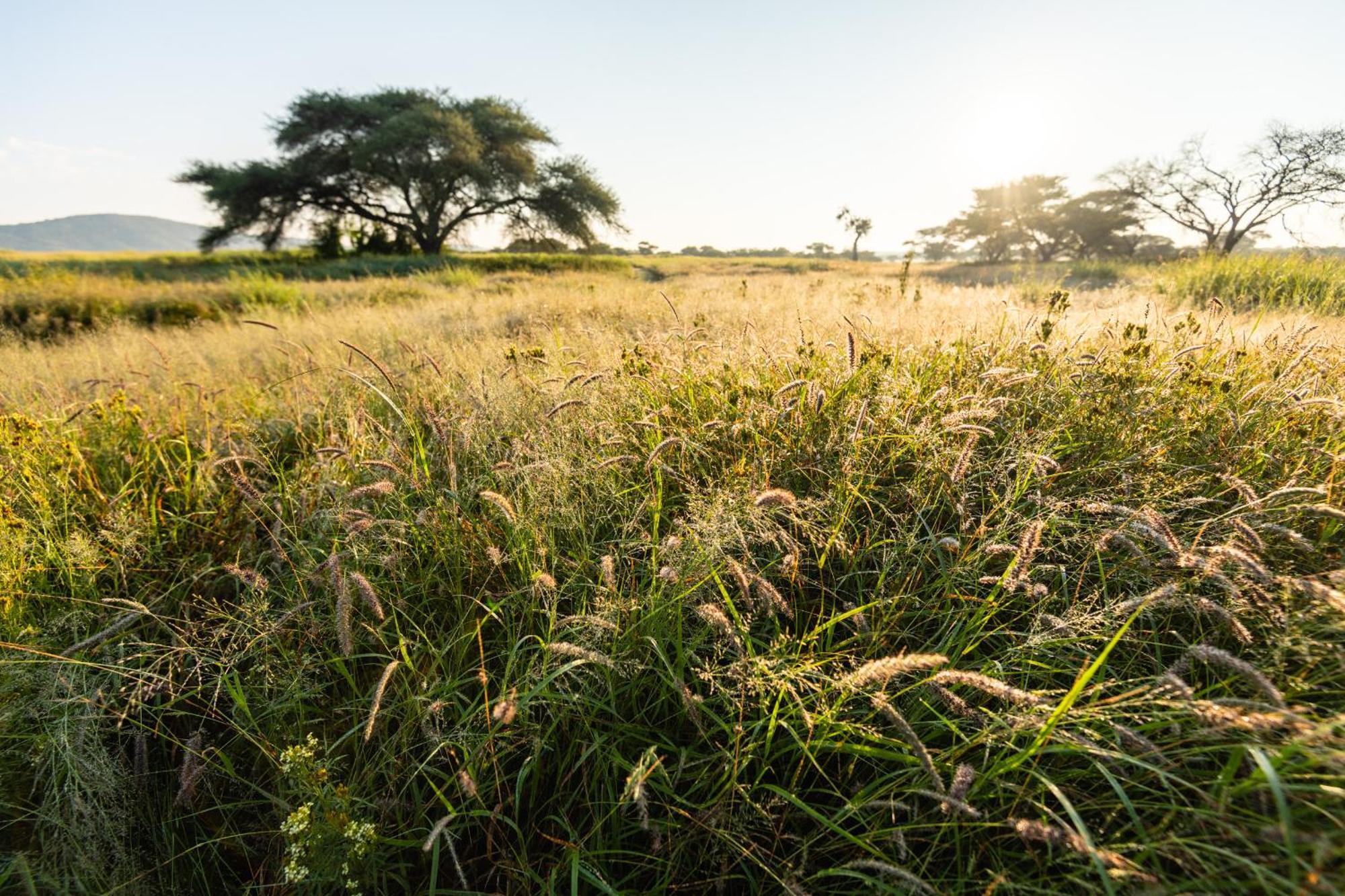 Frans Indongo Lodge Otjiwarongo Zewnętrze zdjęcie