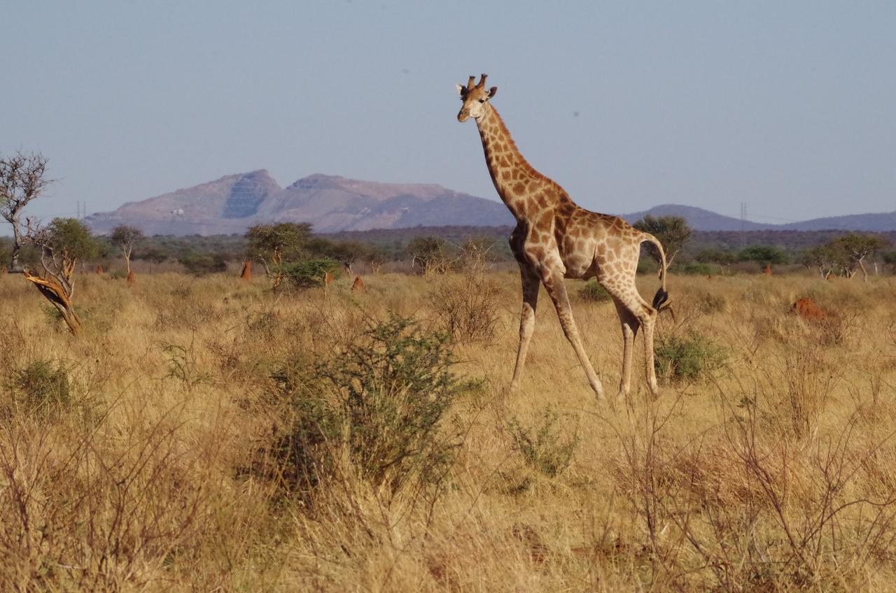 Frans Indongo Lodge Otjiwarongo Zewnętrze zdjęcie